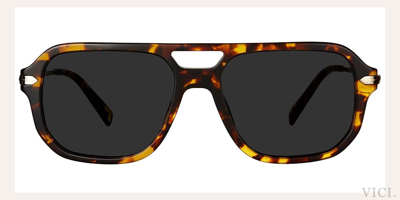 VICI. frame