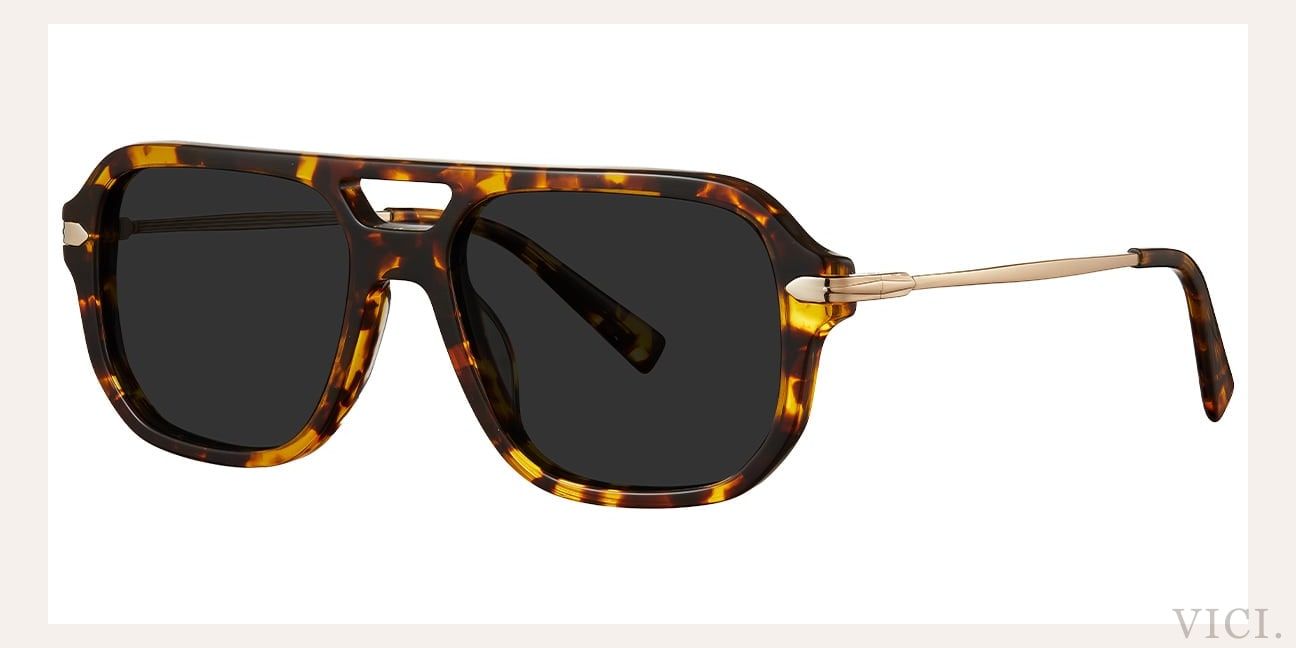 Vici Kov — Dark Grey Polarized #2